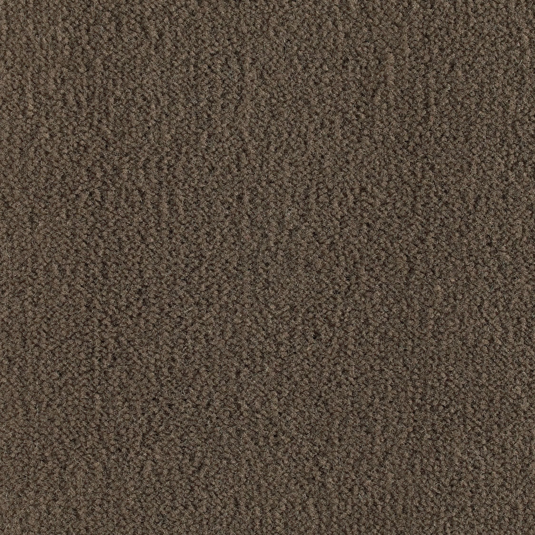 #color_Flax