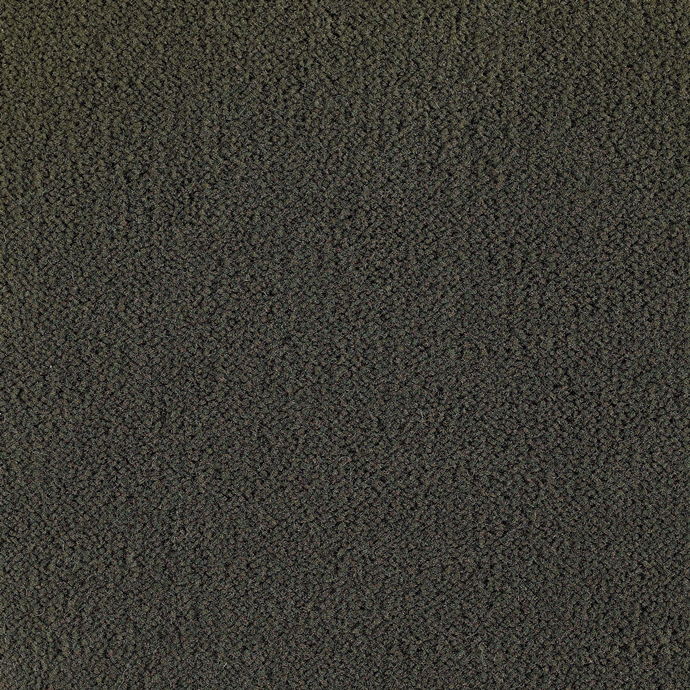 #color_Khaki