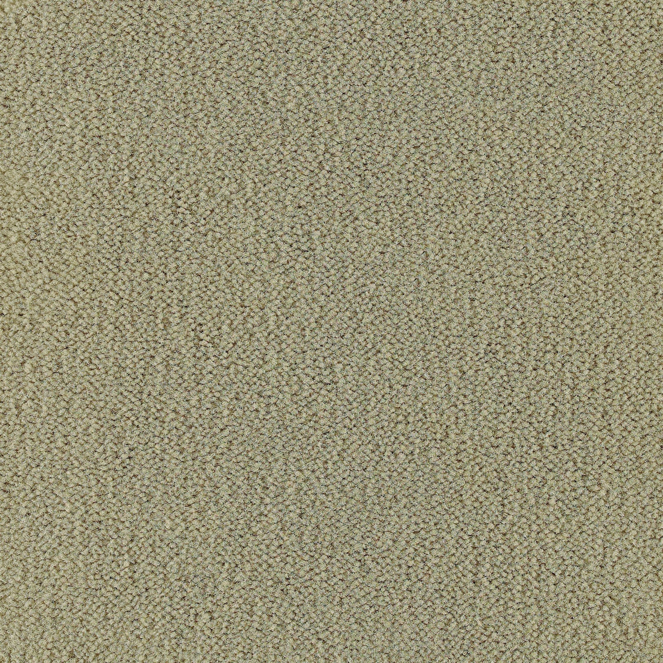 #color_Limestone