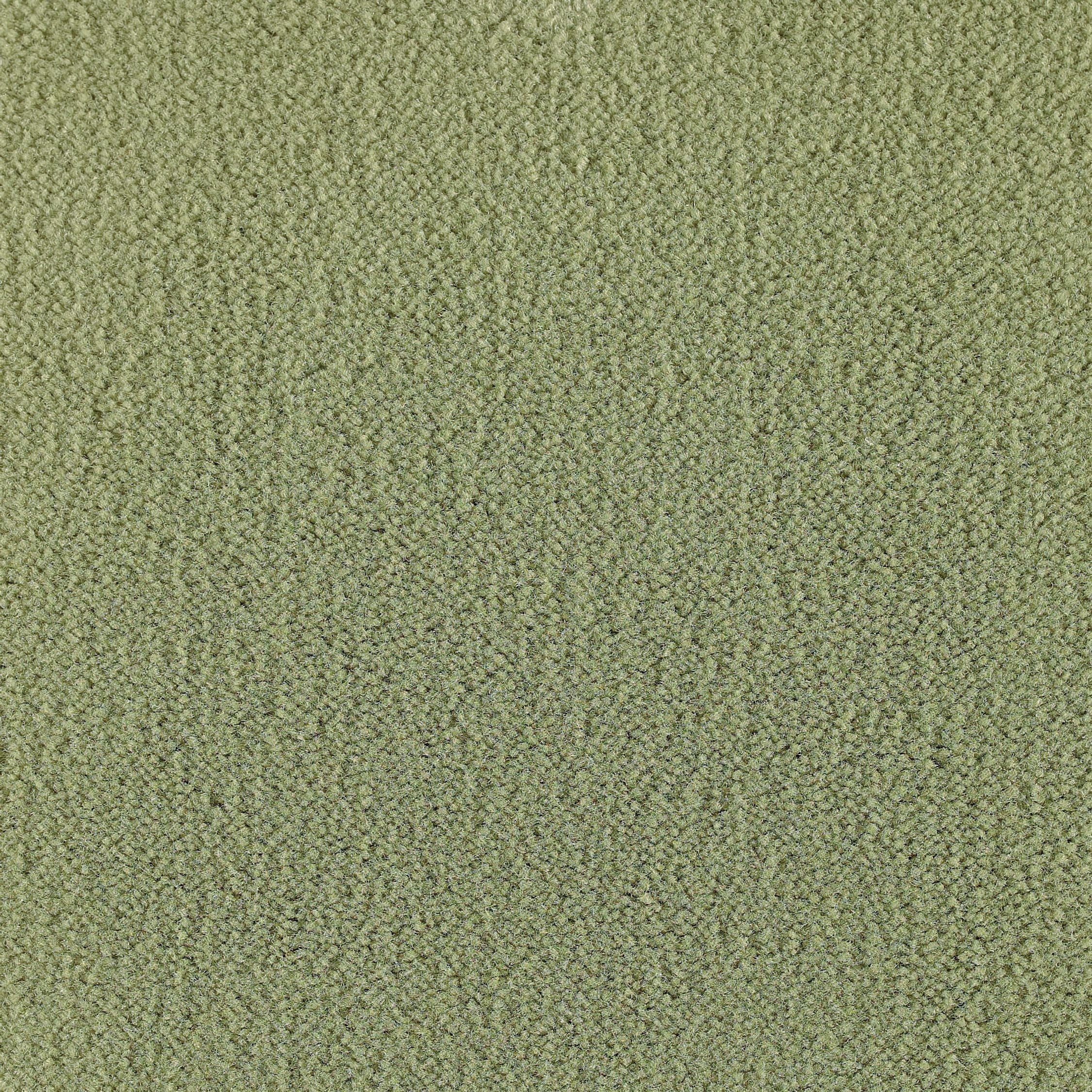 #color_Pistachio