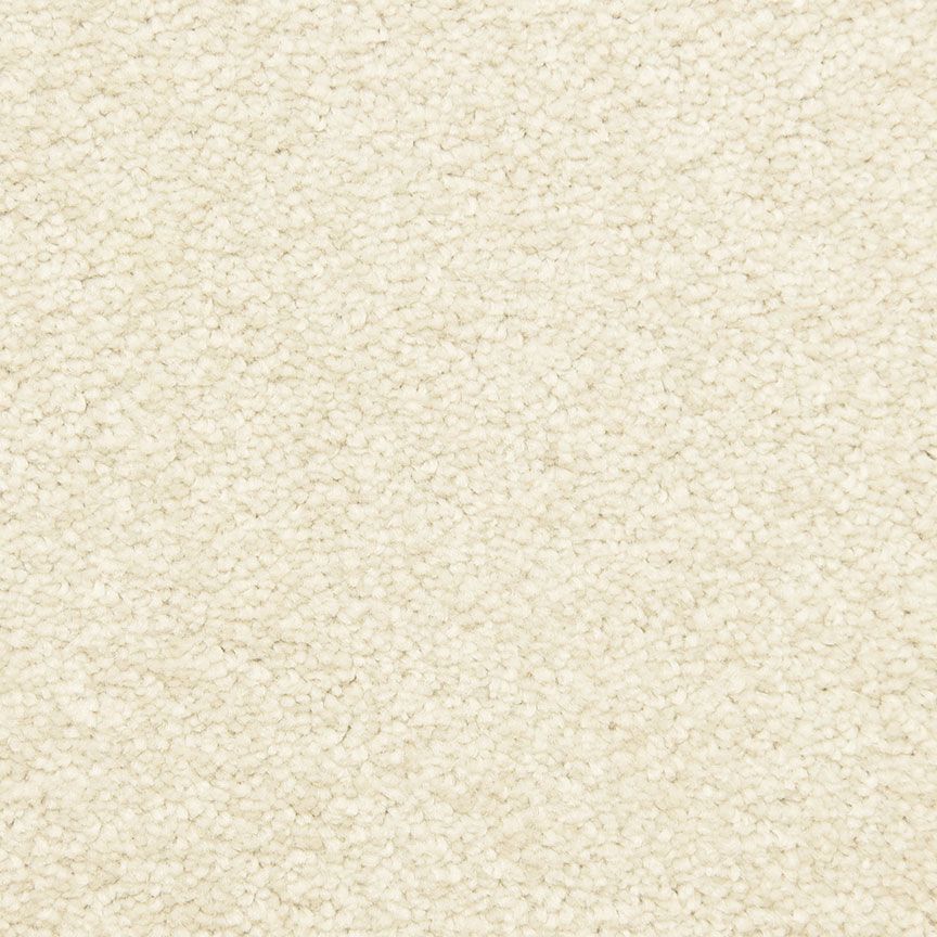 #color_Shell
