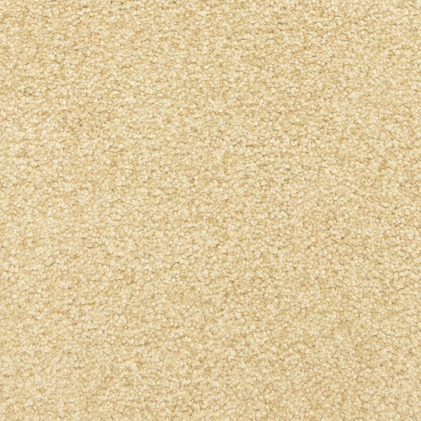 #color_Ginger Snap