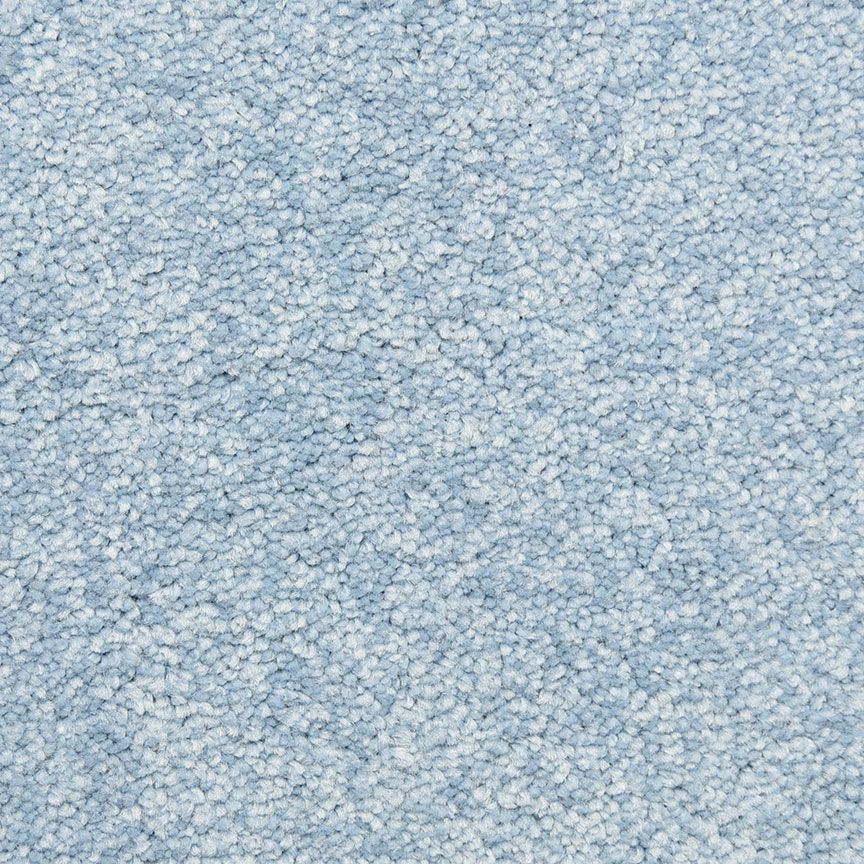 #color_Blue Jay