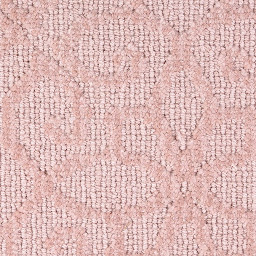 #color_English Rose