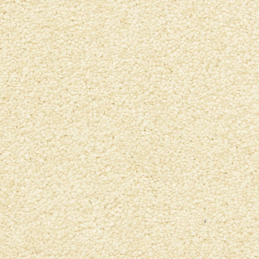 #color_Bavarian Cream