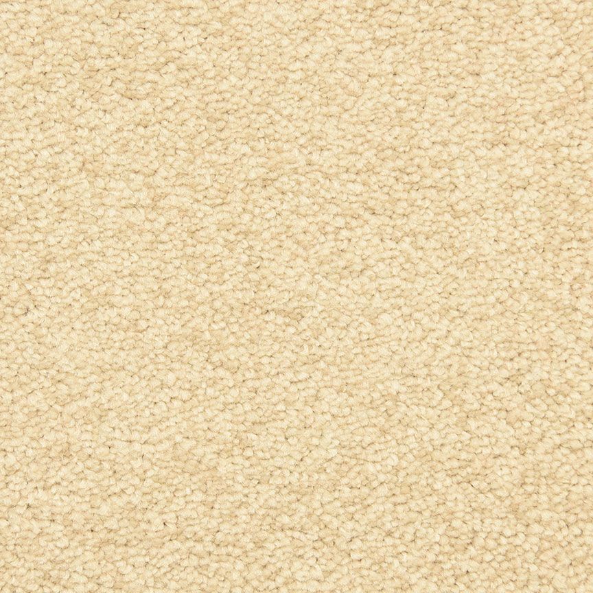 #color_Brazil Nut