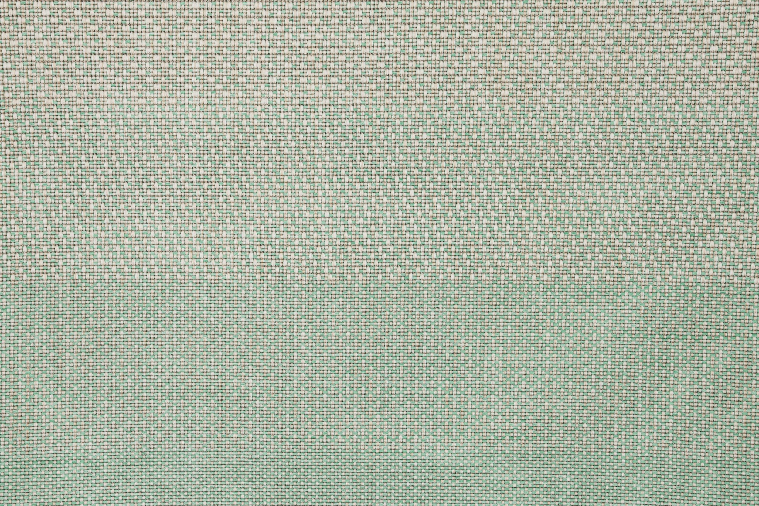 #color_Tropic
