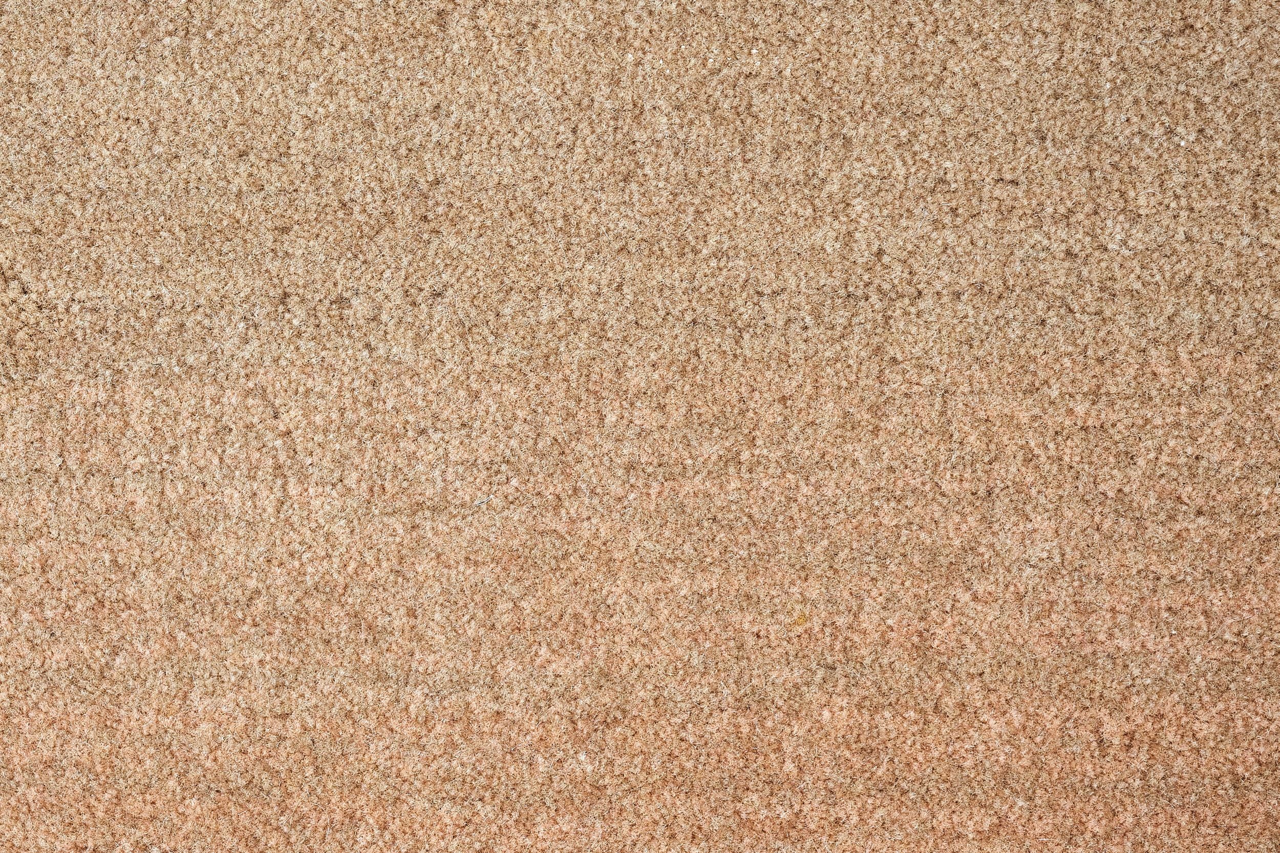 #color_Summer Neutral
