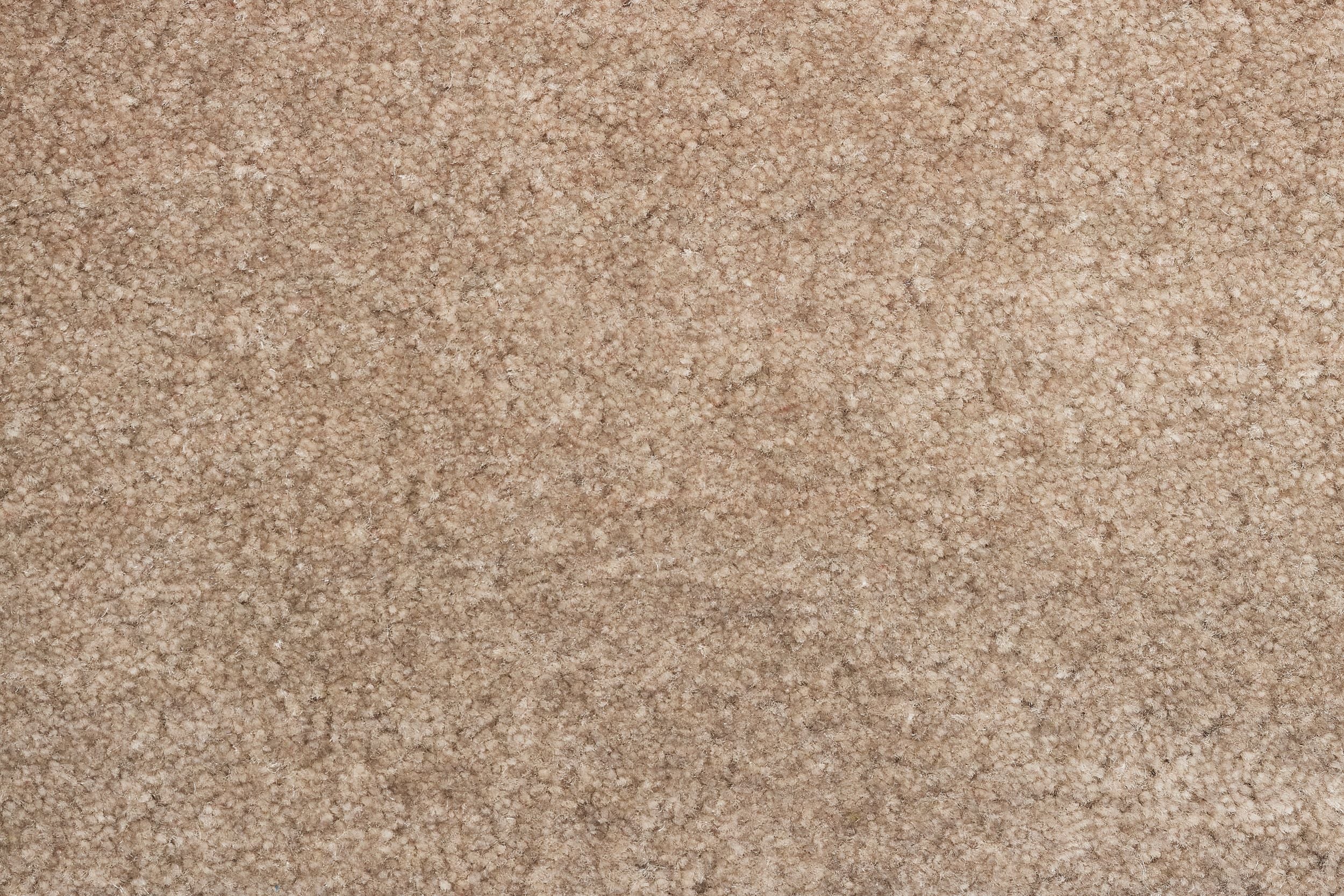#color_Summer Neutral