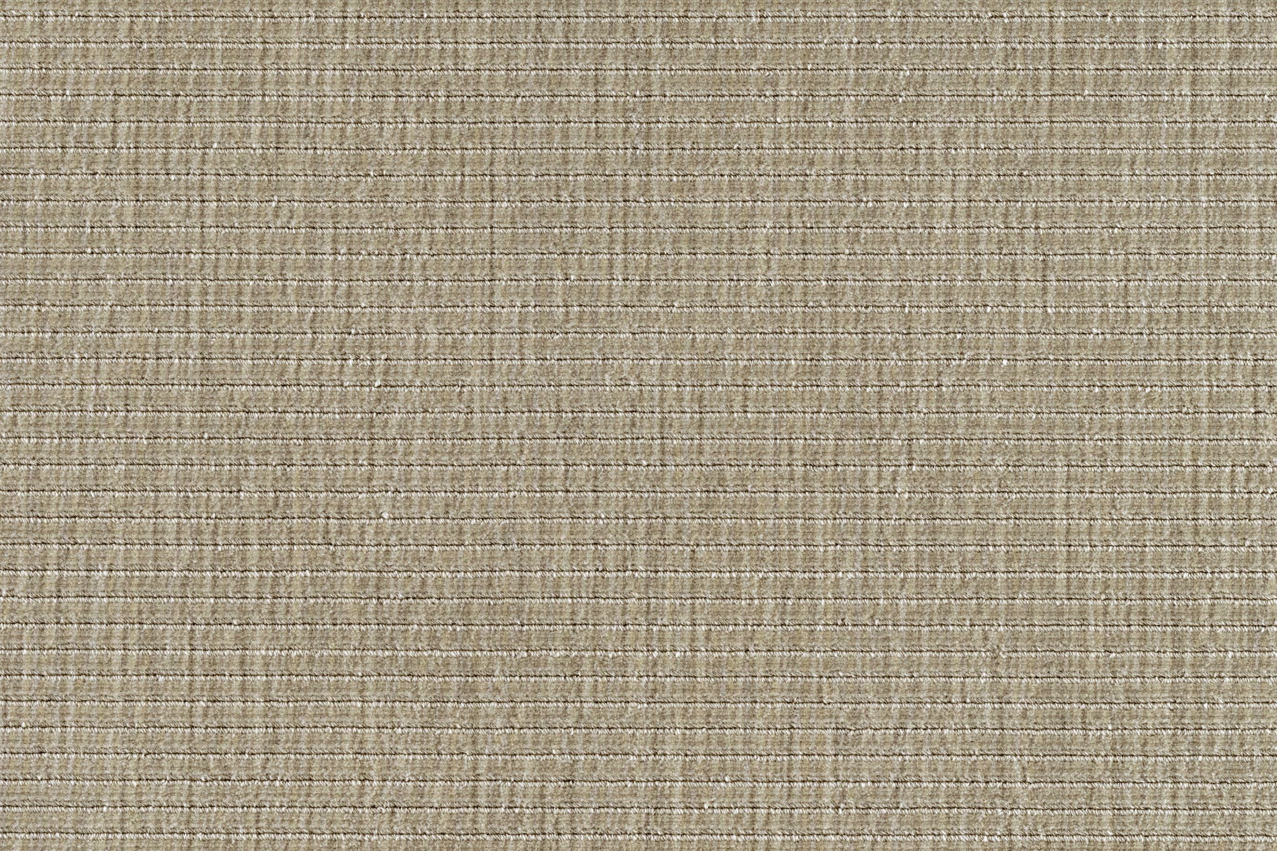 #color_Birch