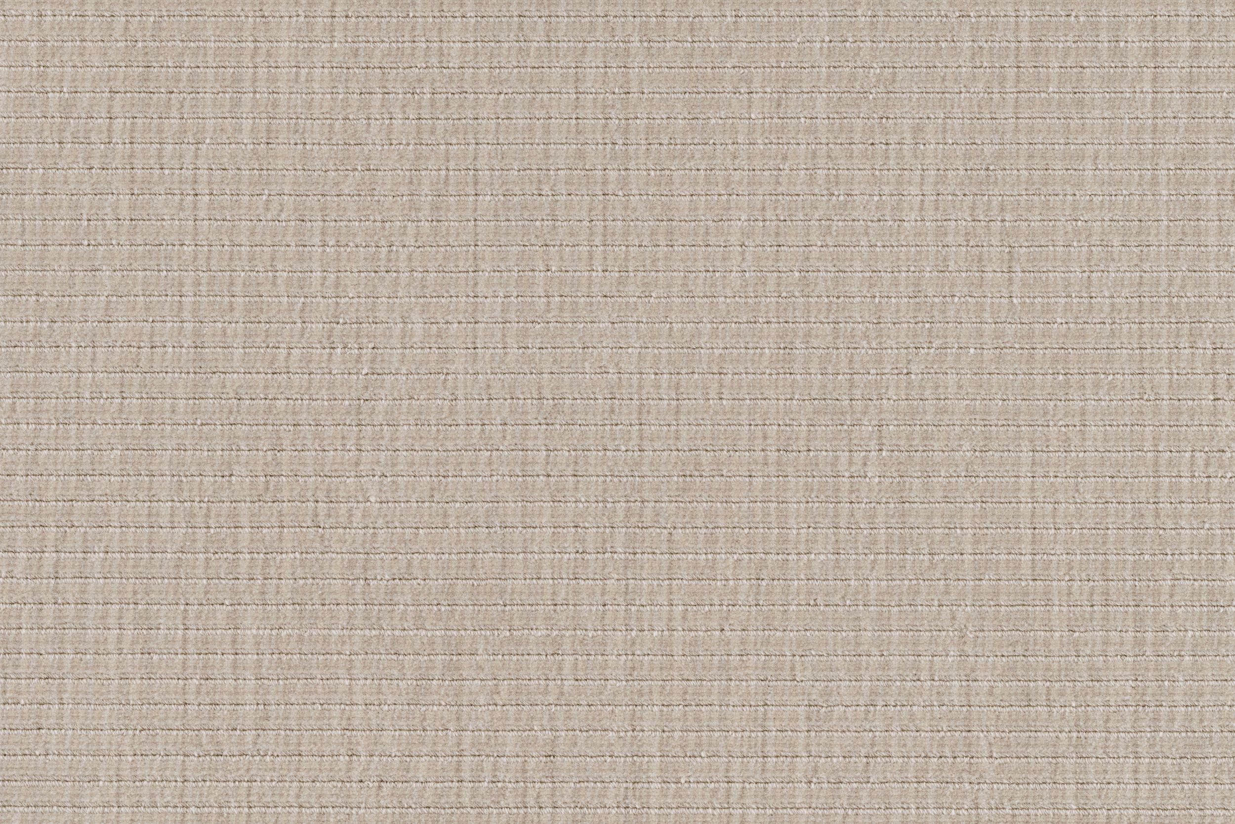 #color_Birch