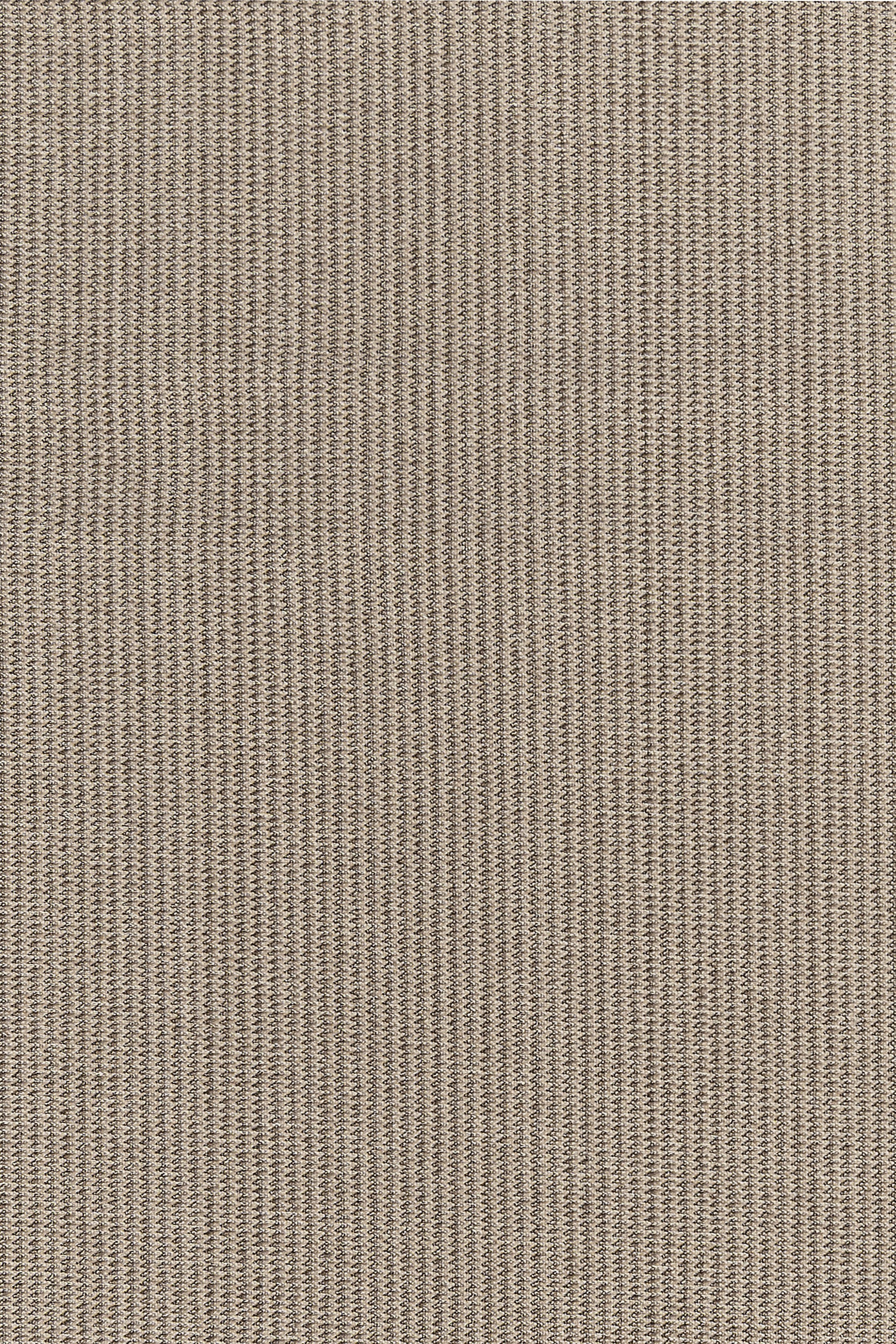 #color_Camel