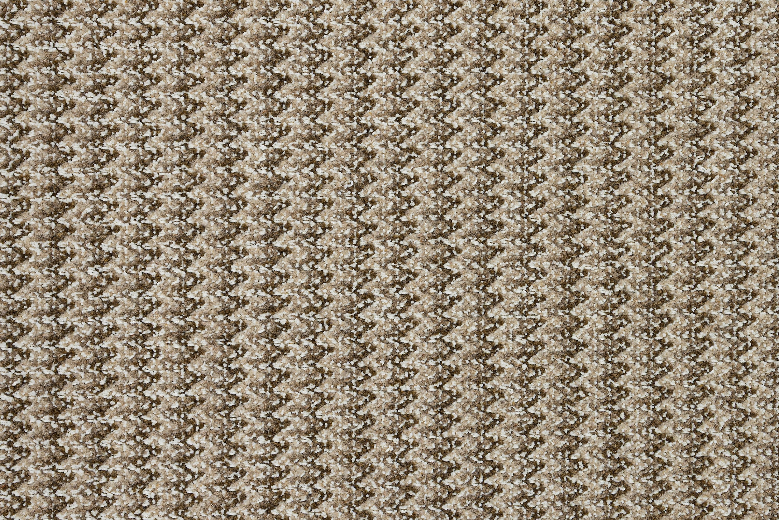 #color_Camel