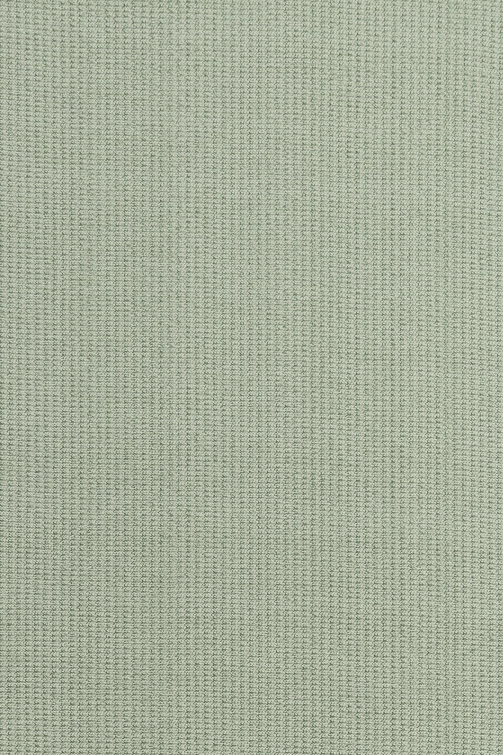 #color_Fern