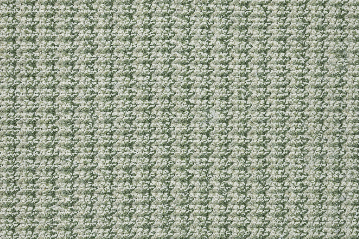 #color_Fern