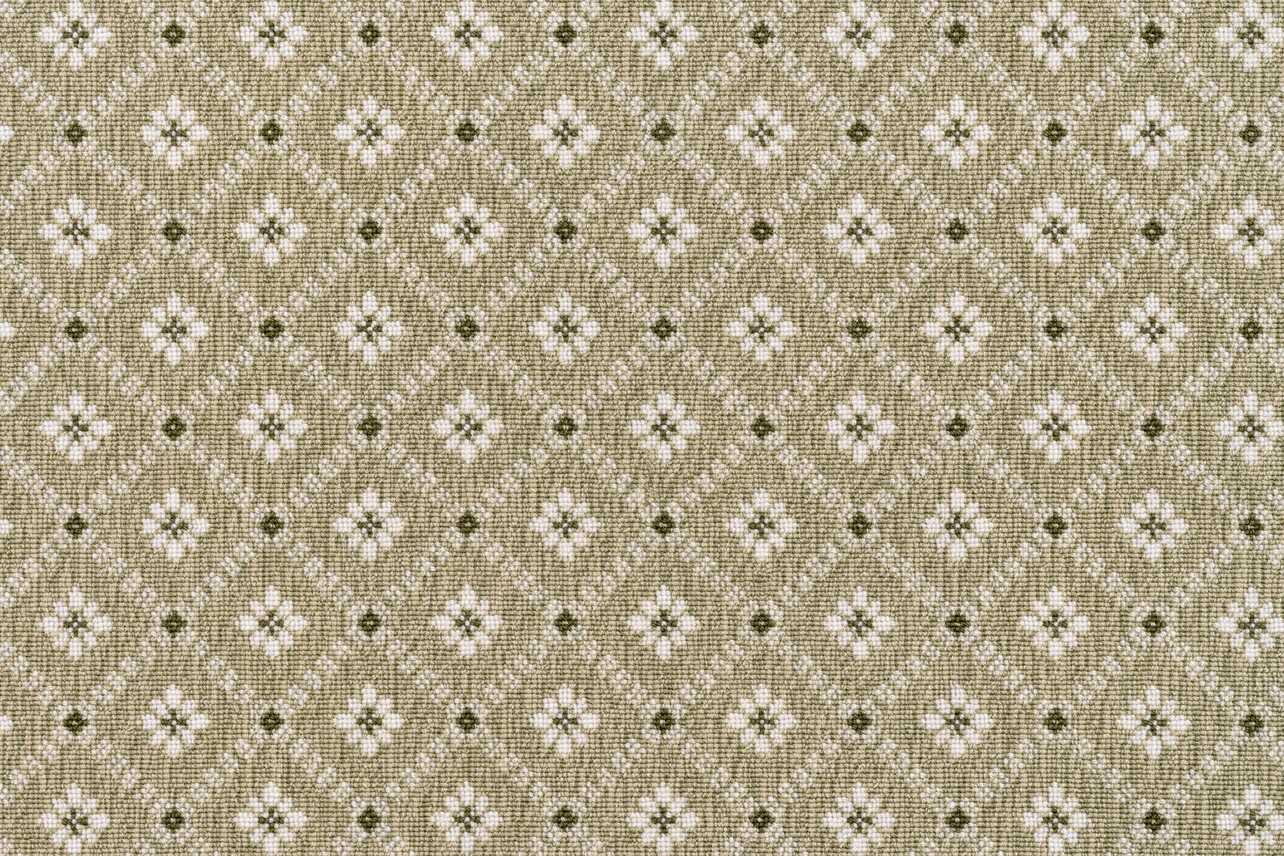 #color_Lichen
