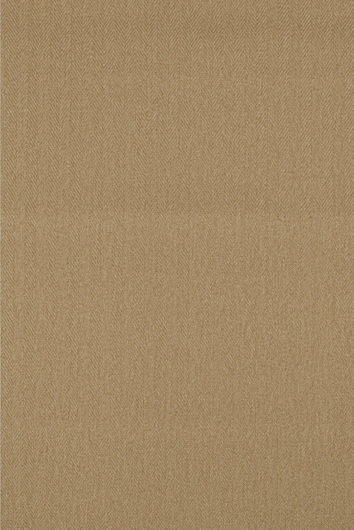#color_Camel
