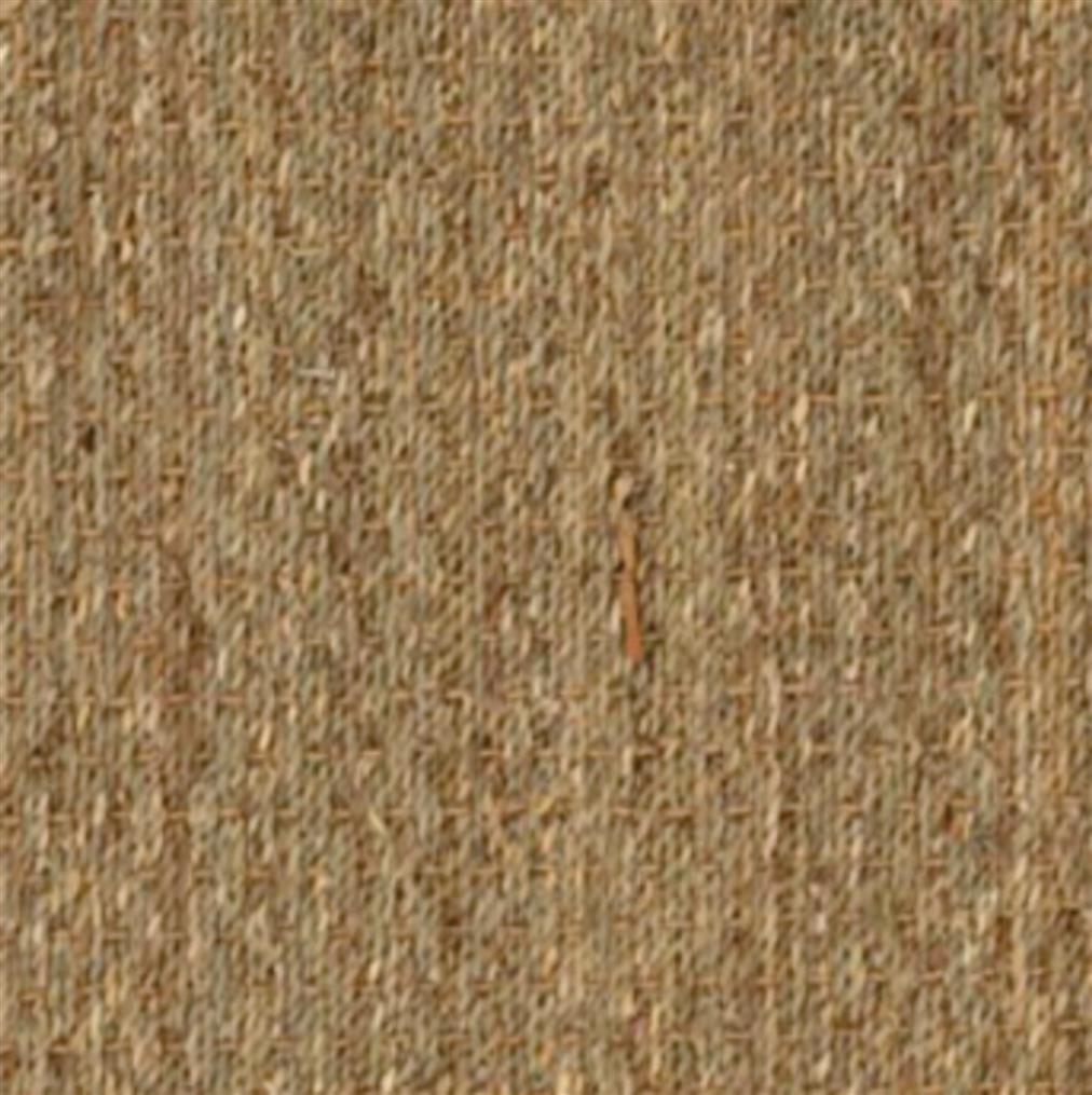 #color_Seagrass