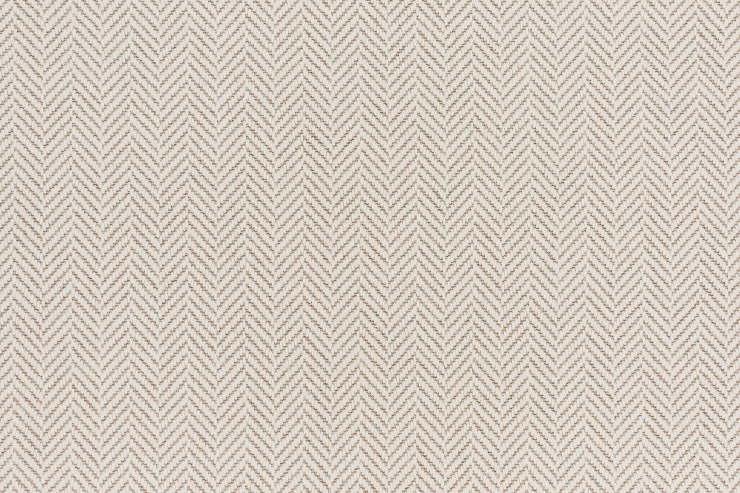 #color_Cream