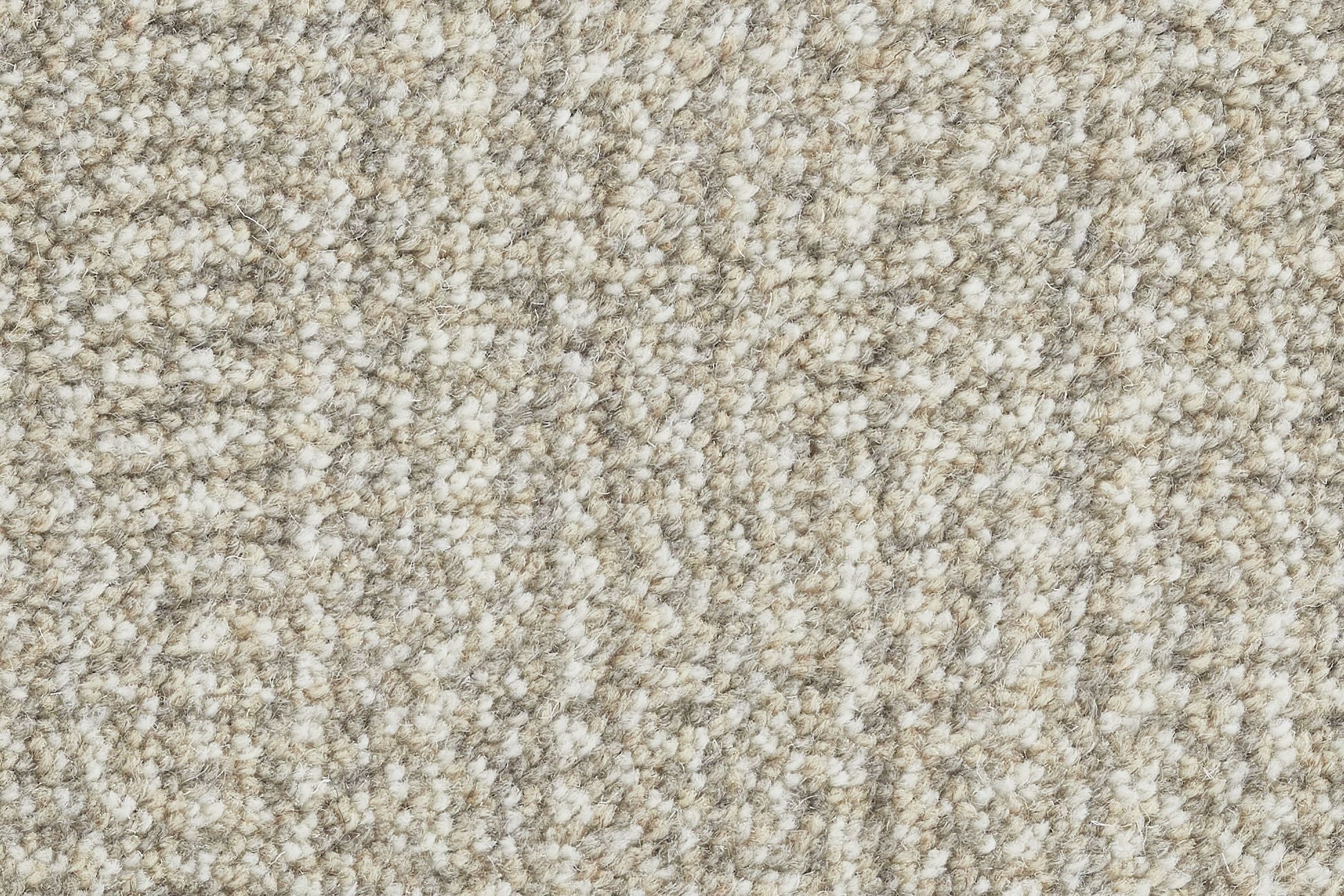 #color_Fossil