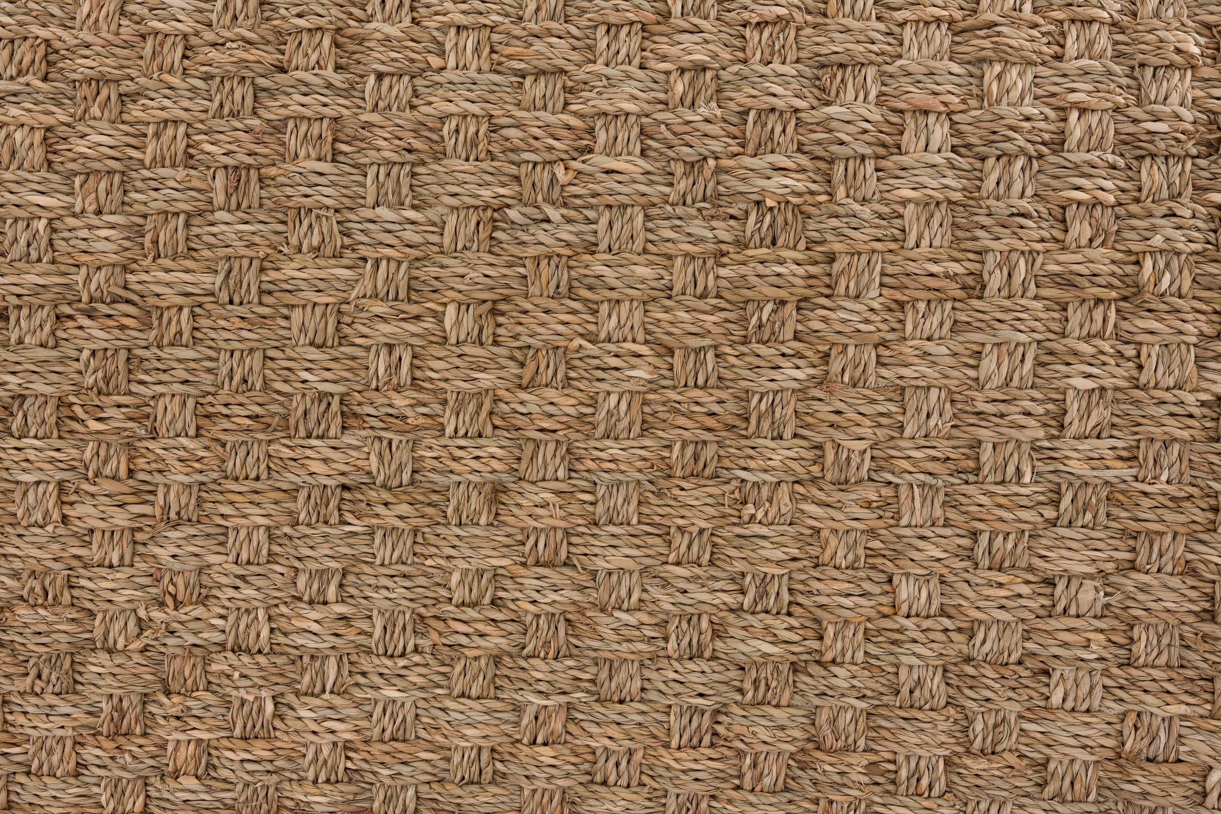 #color_Seagrass