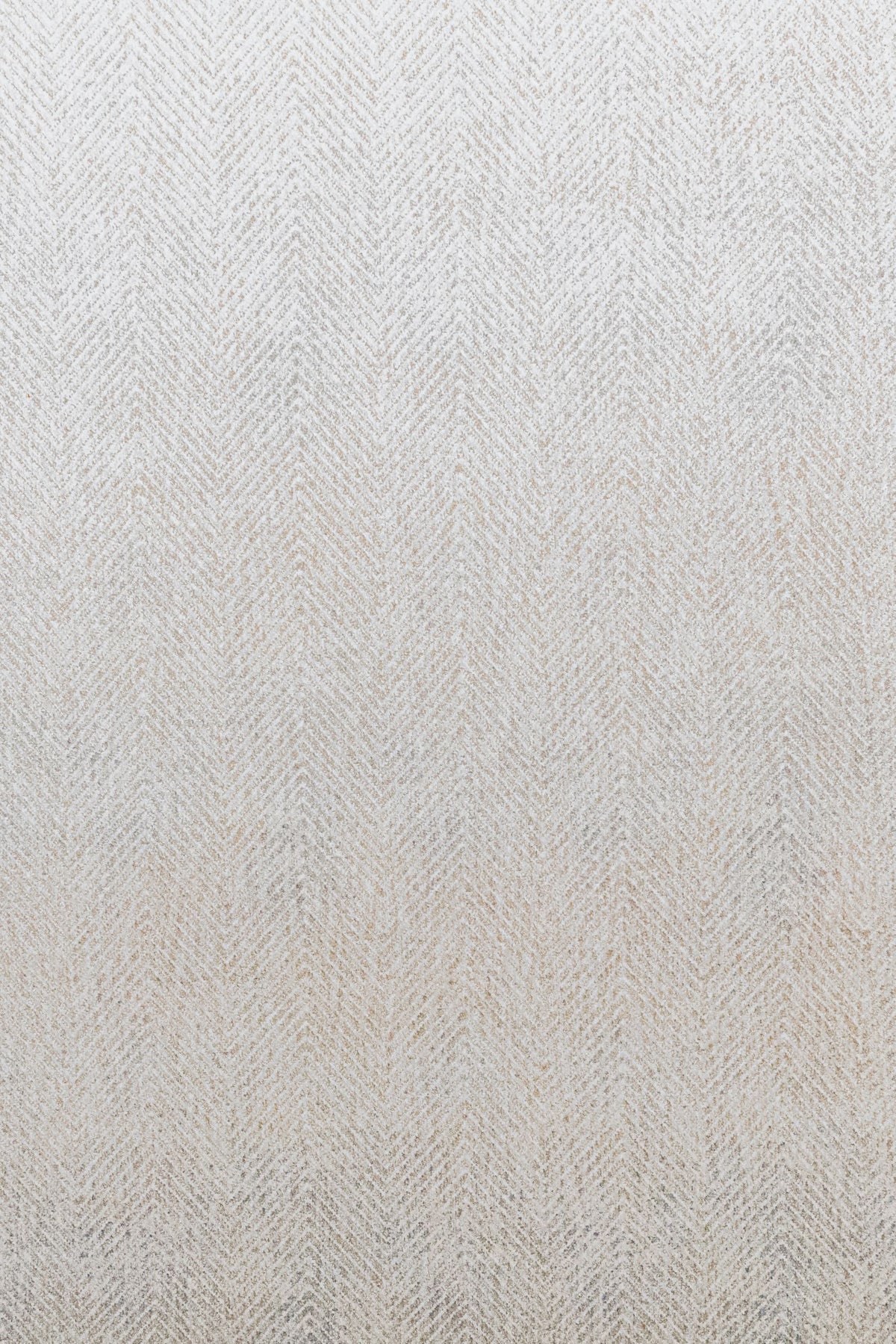 #color_Ash