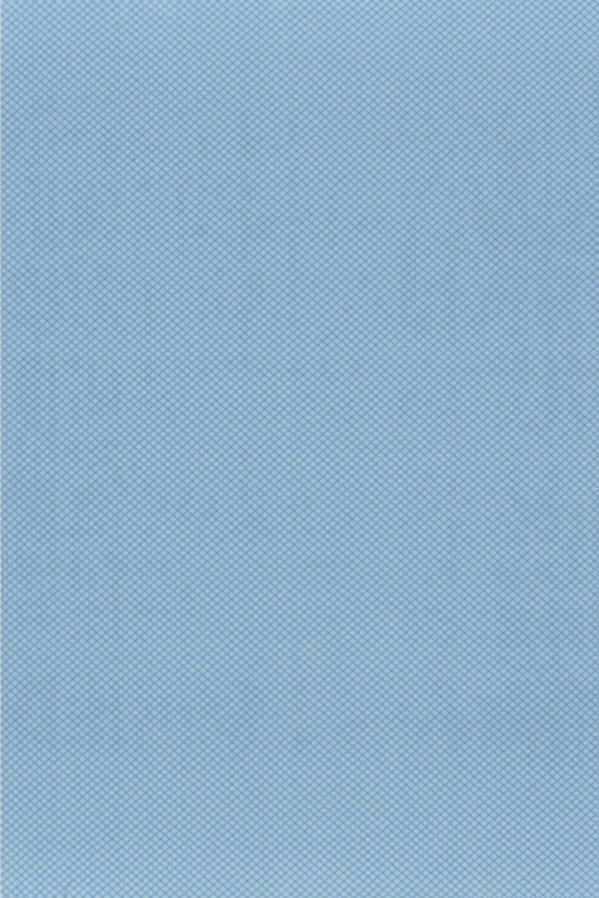#color_French Blue