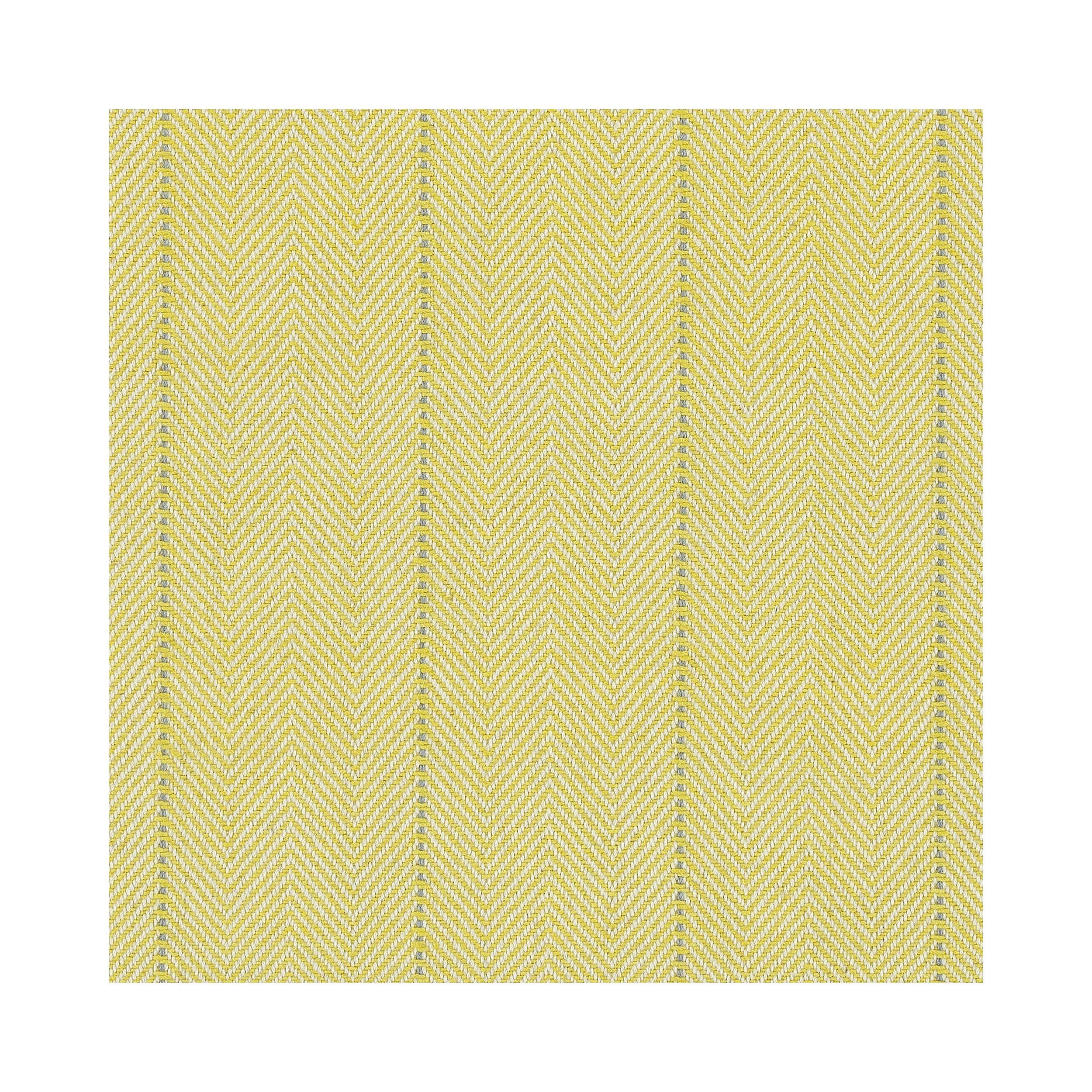 #color_Maize