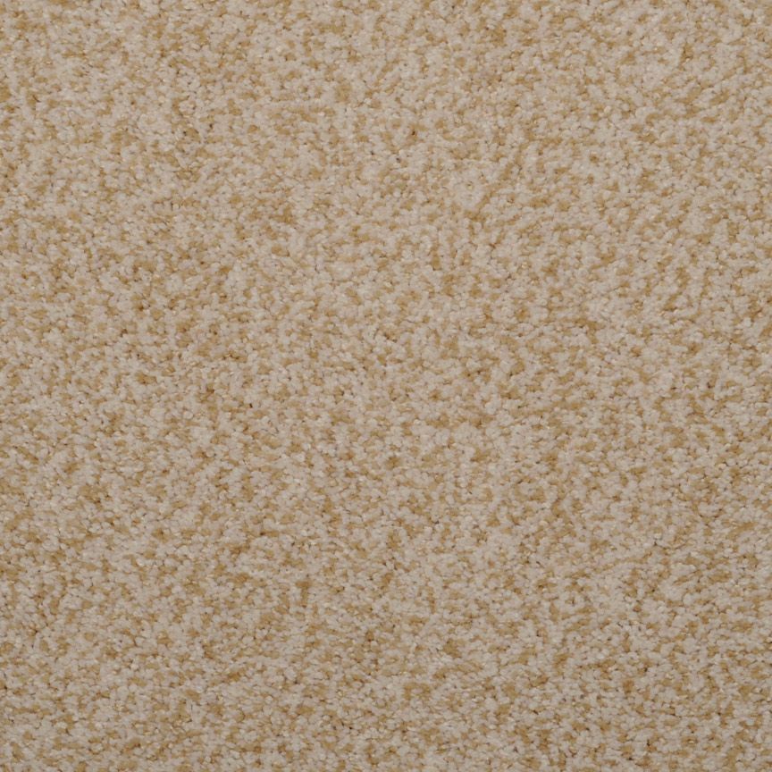 #color_Sand Stone 124