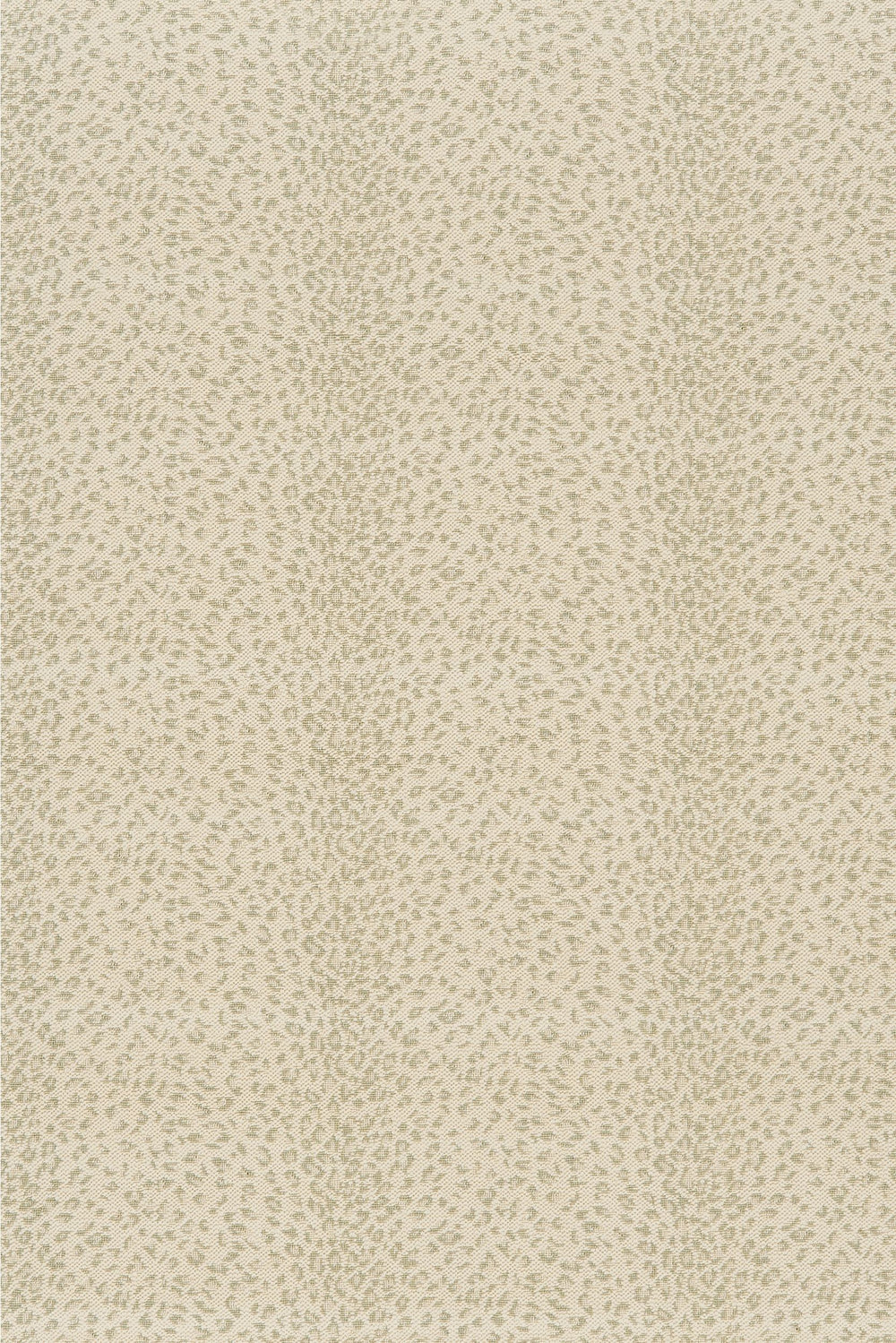Leopard Print Rugs & Carpet