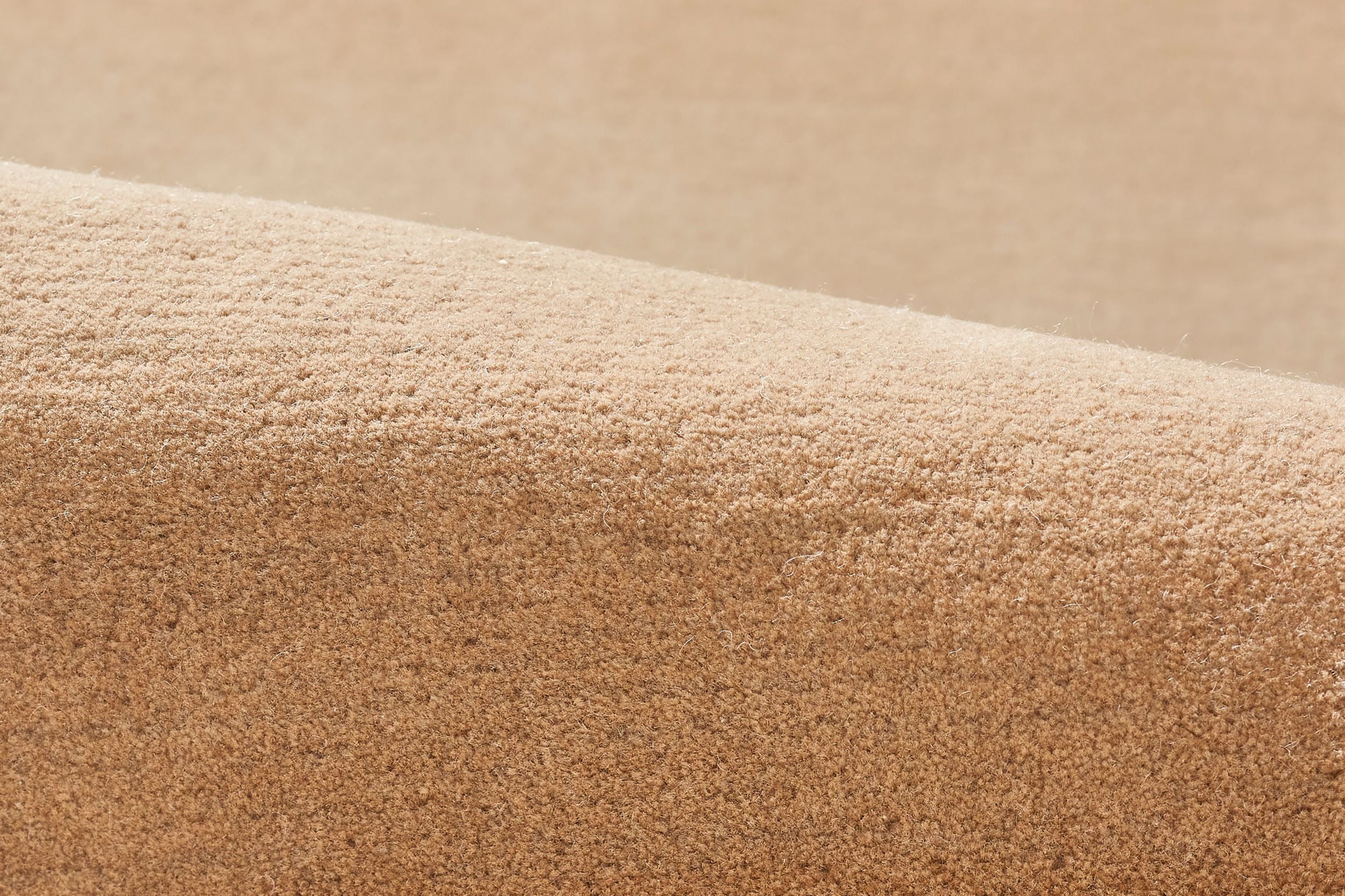 #color_Summer Neutral