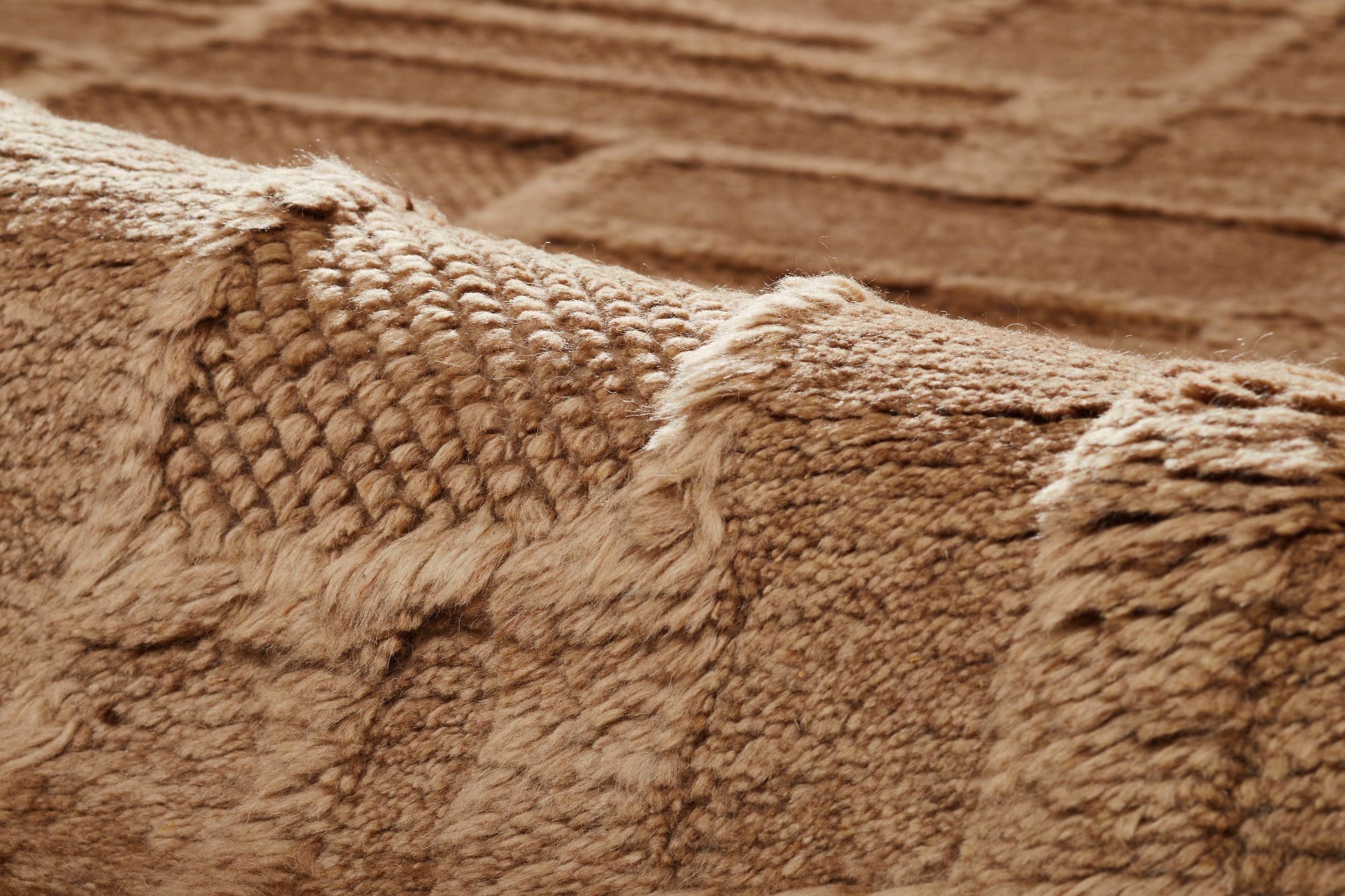 #color_Camel