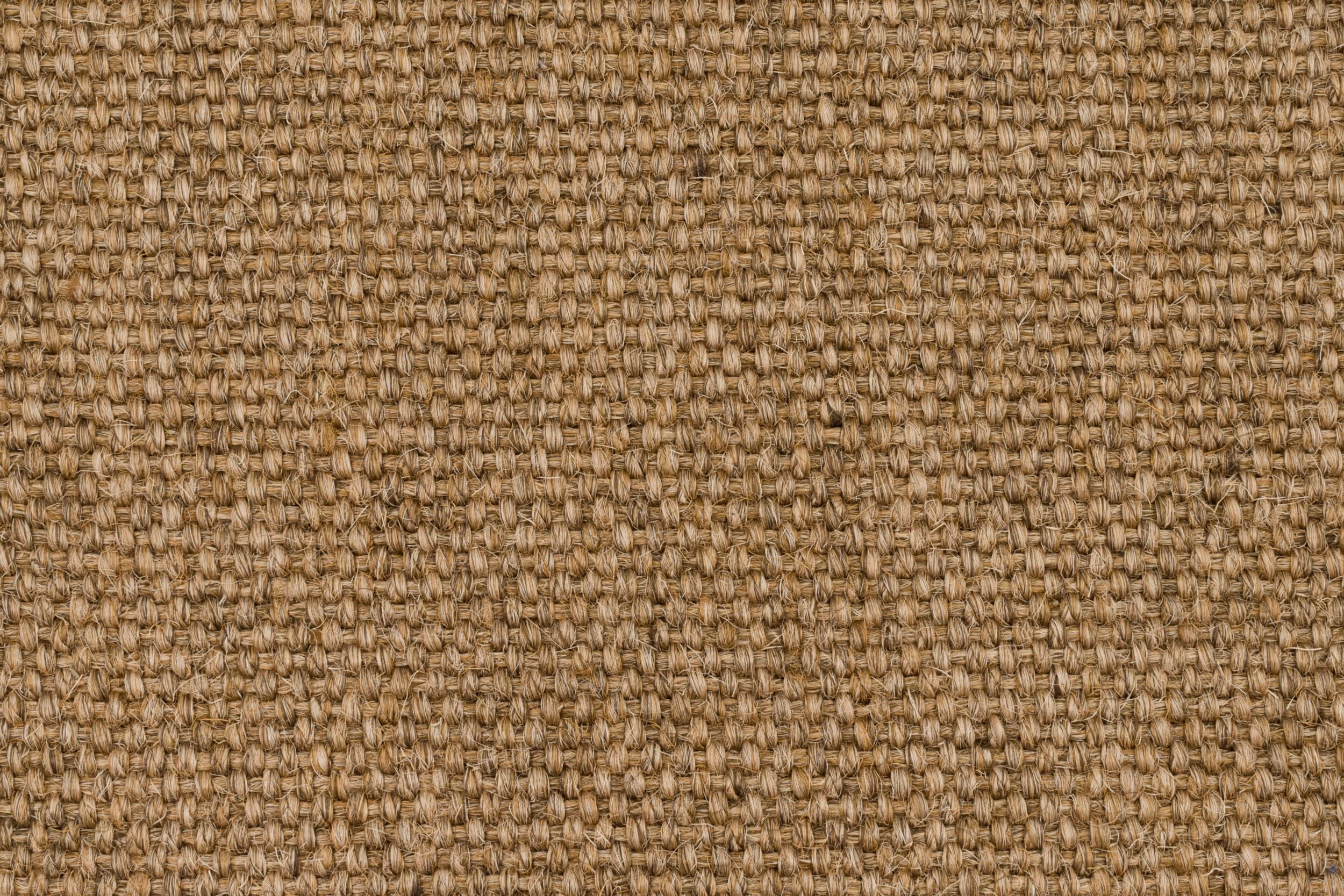 #color_Sienna