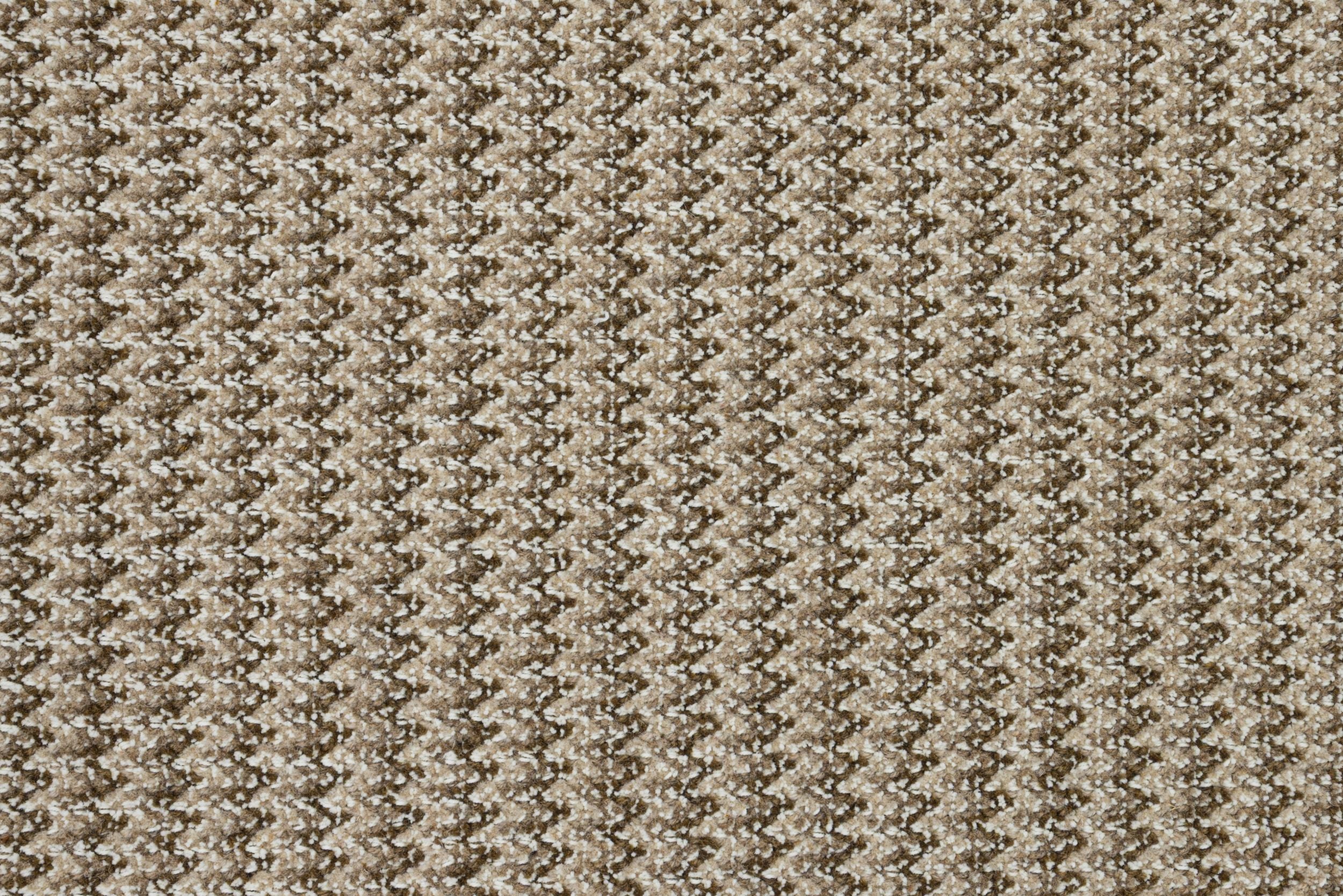 #color_Camel
