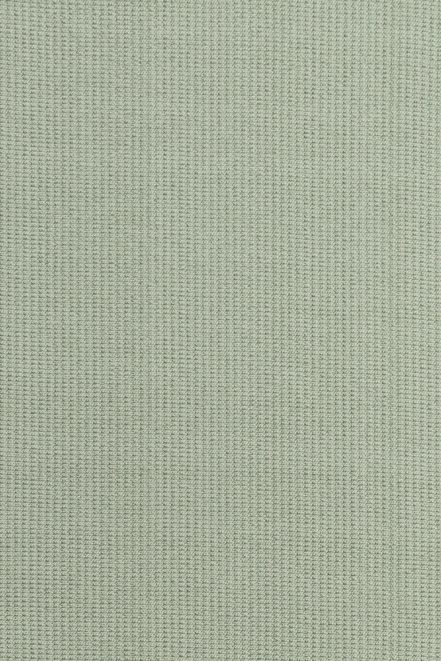 #color_Fern
