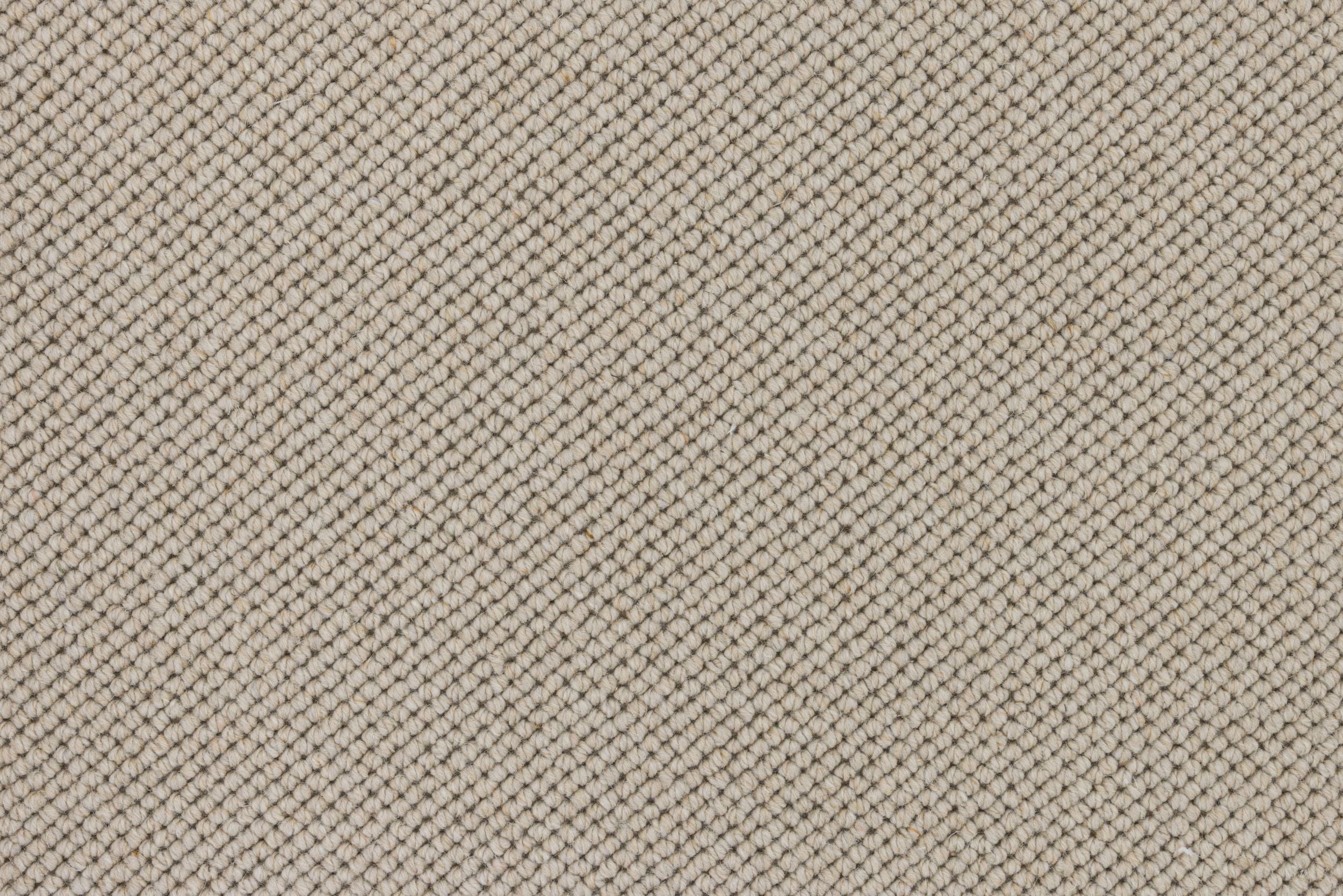 #color_Buckskin