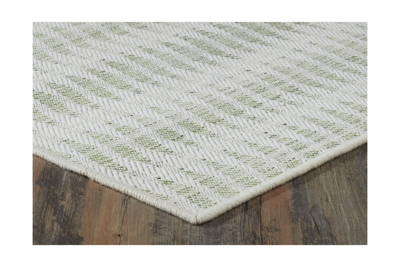 #color_Fern