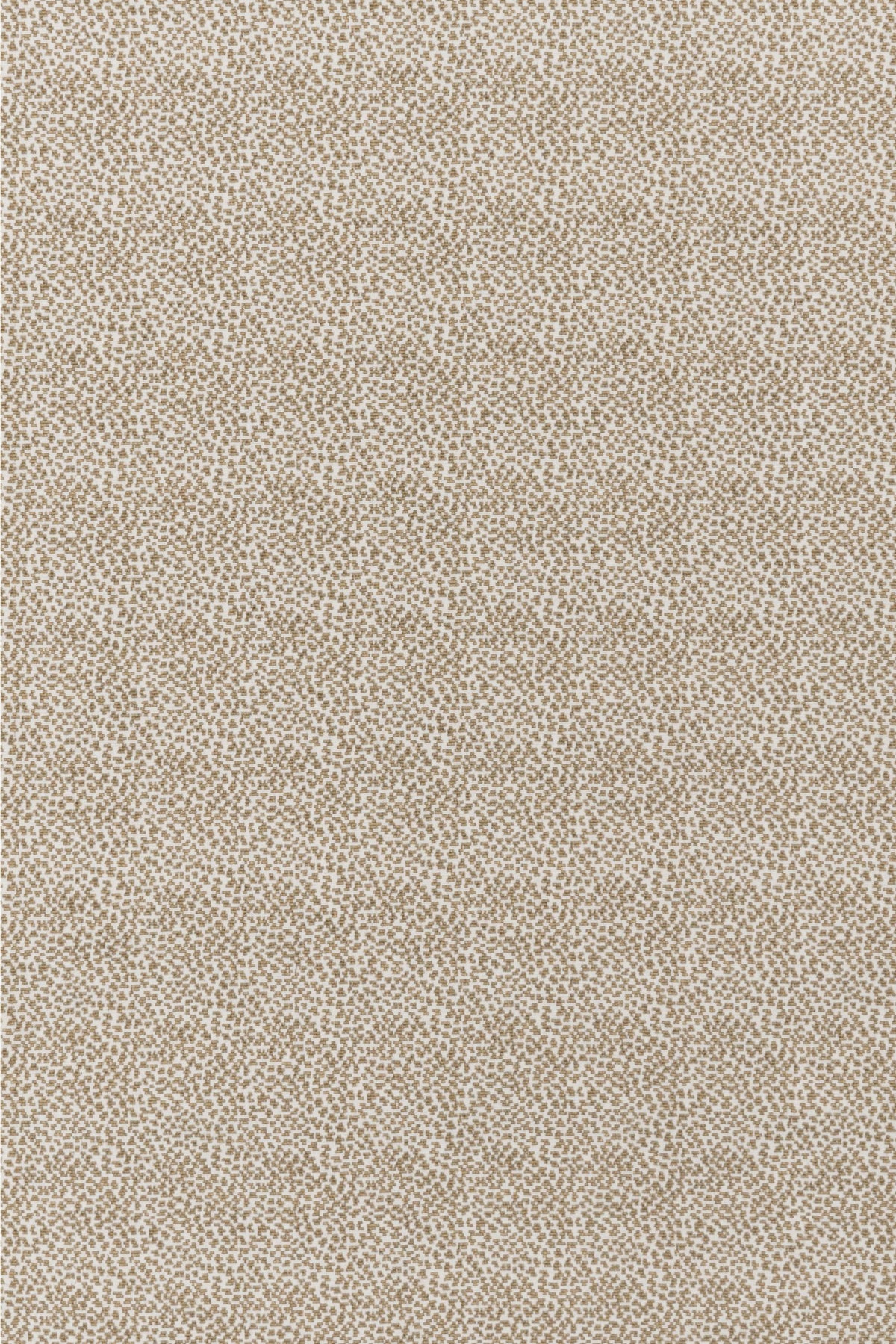 #color_Pearl/Dune